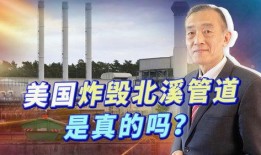 最新消息美国记者爆料,美国记者揭露最新内幕